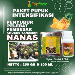 Pupuk Pelebat Buah Nanas / Pupuk Pembesar Buah Nanas / Pupuk Daun Nanas / Pupuk Booster Nanas / Pupuk Nanas / Pupuk Khusus Nanas