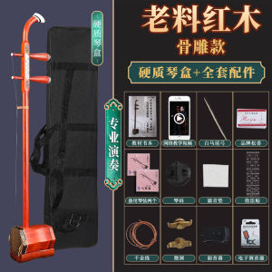 Professional Erhu Instrument for Adults And Beginners Black Ebony Wood Red Elm Wood Hexagonal Shape Musical Instrument from Jiangsu