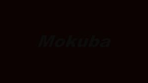MOKUBA A-7 70 x 100mm Brick Chisel Made In Japan