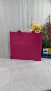 Lora A3 Sewing Type 90g Non Woven Bag Shopping Bag Grocery Bag PRecycle Bag Packing Bag Eco Bag Murah
