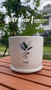 Chậu gốm sứ hoa văn để bàn kèm đĩa đựng nước - cao 10 cm