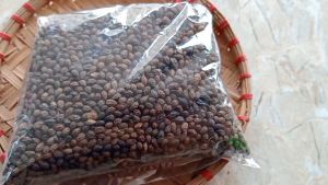 1kg hạt đu đủ chín sấy khô