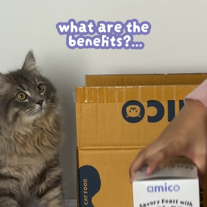 Amico Wet Cat Food for All Ages - Made with Real Meat - Mackerel & Chicken in Gravy - (85g x 6pcs)