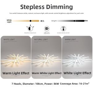 Modern Stylish Ceiling Light