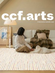 Modern Washable Layered Carpet for Living Room and Bedroom Non Formaldehyde