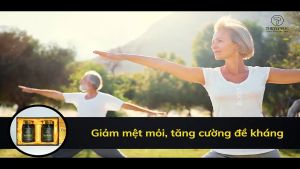 Viên nang đông trùng hạ thảo Banikha Thiên Phúc - Sản phẩm chính hãng - 60 viên