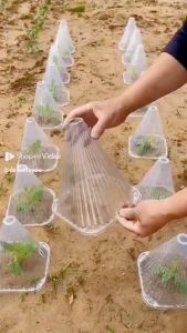 10 PCS 植物钟罩 绿色育苗保护罩 Garden ClochesPlant Protector  Plant Bell CoverBell Jar Cloches for Protection