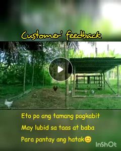 【Free Gift Rope】Net for Chicken Farm Nylon 50/100/200 Meters Lambat Range Net Pambakod Sale Chicken Net High Quality Polyethylene Corrosion Resistant Anti-aging Warranty