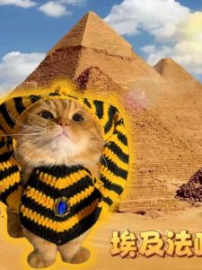 Funny Knitted Cat Hat Ancient Egyptian Style Halloween Pet Costume Dog Clothes Set Cute Pet Accessories Cat Clothing Raincoat