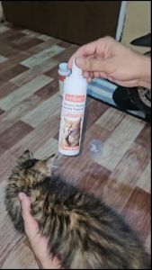 PETLOVER Mandian Kucing Tanpa Bilas Air Cat Dry Shampoo Kuku Kucing Sabun Kucing Kering Cat Paw Cleaner Cleansing Foam Syampu Kucing