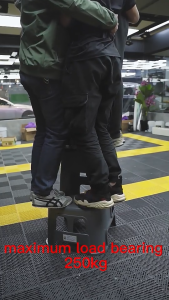 Two-Step Ladder Chair