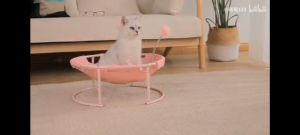 Cat Bed Dog Bed Pet Nest Hammock Free-Standing Whole Wash Stable Structure Detachable Katil Kucing Haiwan Peliharaan