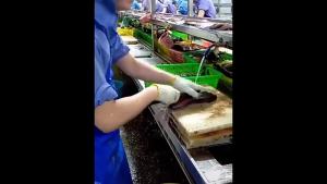 Fish Boning Knife Professional Tool Cooking Kitchen Knife Seafood Market Aquatic Slaughter Fishing Butcher Knife Meat Cleaver