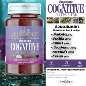 JoyBoon Cognitive Herbal Supplement | อาหารเสริมดูแลสุขภาพสมองจากสมุนไพรไทย |VFD with Vortex Freeze-Dried