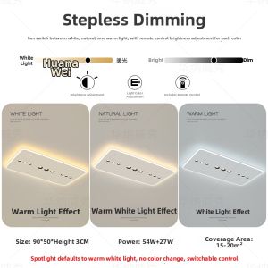 Simple Modern LED Lighting for Living Room Bedroom Dining and Study