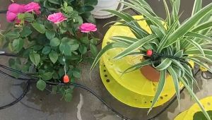 40M/158Pcs Mini Drip Irrigation KitIrrigation System Set Garden Plant Waturing Kit Garden Fog Cooling Irrigation System with Distribation Tube Hose Adjustable Nozzle 1/4 inch Hose