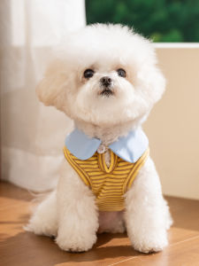 hipidog | Quần Áo Thú Cưng Nhẹ