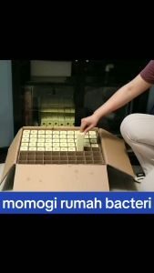 Momogi Kotak Kecil Rumah Bakteri Media Filter Air Aquarium Bio Block
