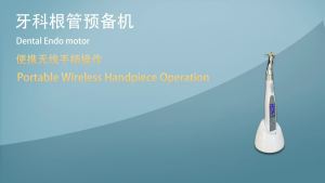 NICEDEN Dental Equipment Wireless LED Endo Motor With 16:1 Contra Angle Endodontic Electric Root Canal Endomotor 9 Modes