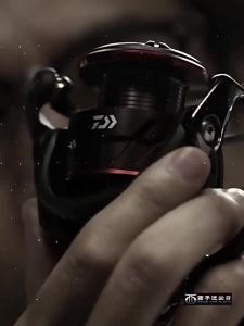 Daiwa | Freshwater & Saltwater Fishing Spinning Reel