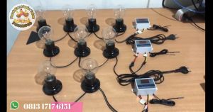 Paket Siap Pakai W3001 Kapasitas 20 Sampai 30 Butir Telur Mesin Tetas