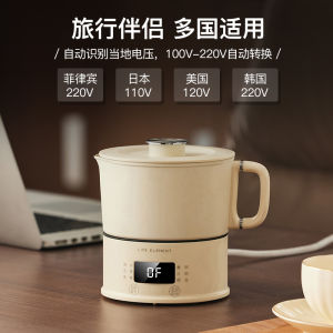 Universal Wide Voltage Stainless Steel Electric Kettle Portable Water Boiler for Traveling Hotel Stay Overseas