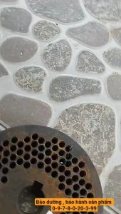 Sàng lắp máy ép cám viên s150160  lỗ 4ly