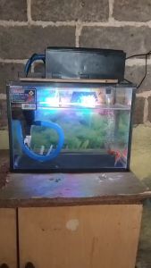 Filter Pompa Komplit Top Filter Box Aquarium 3 In 1 Rosston SP 1200 Garansi