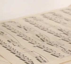 [HCM]Que khuếch tán tinh dầuphụ kiện tinh dầu(Hộp50que+3hoa+3cầu+3Gỗ tròn)-GL314