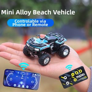 Mini Alloy RC Toy Model Car 1:64