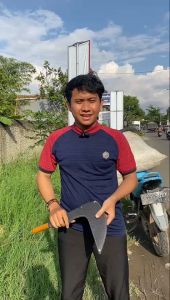 Jawara Pisau | Arit Rumput | Alat Tani Pisau Rumput Baja Asli