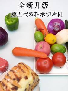Meat Slicer Machine For Beef Meat Cutter Machine Frozen Meat Cutter Kitchen Frozen Meat Slicer Machine Electric Slicer for Home Use Lamb Rolls Beef Toast Pork Belly Frozen Meat Slices Small Size 切肉机