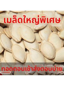 Inner Mongolia Large Roasted Raw Salted And Spiced Pumpkin Seeds