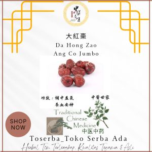 600gr Herbal Da Hong Zao 大紅棗 Ang Co Jumbo AngCo Chinese Jujube / Jujube / Chinese Date / Red Date / Jujube Fruit / Jujubae Fructus
