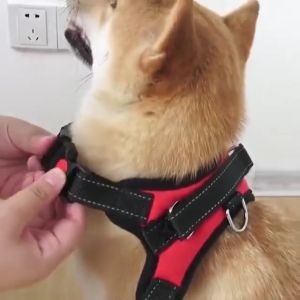 Dog Reflective&Breathable Harness and Leash Adjustable Collar Leash Dog Leads for Medium&Large