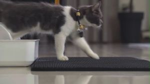 Cat Litter Mat 2 Channels แผ่นดักทรายแมว สำหรับใช้กับผ่านดักทรายแมว เป็นมาตรฐานในการดำเนินการดอกเบี้ย บริสุทธิ์เสริมสร้างสุขภาพสำหรับแมว