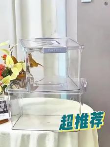 Clear Large Capacity Storage Box