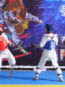 15-IN-1 Taekwondo Protective Gear Set Taekwondo Karate Practice Competition Equipment Protection Suit for Kids and Adults
