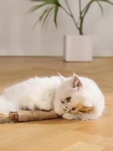 Natural Cat Silvervine Chew Stick Rope Cat Toys Dental Stick Cleaning Teeth Mainan Kucing 木天蓼