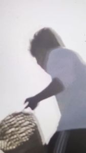 Salt Asin 500g Raw Coarse Sea Salt sun-dried no added iodine no bleach no anti-caking