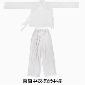 Mens Tang Dynasty round Neck Hanfu Spring New Style Adult Ancient Style Fairy Atmosphere Long Sleeve Traditional Chinese Clothing