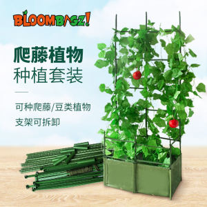 Large Vegetable Planting Bag with Stand for Gardening Beans Grapes Simple Style Desktop Ground Flower Pot Green Plant Pots