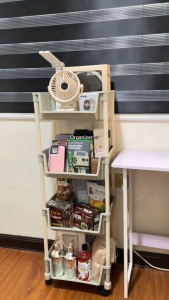 Organizer Rack Trolley Cart Organizer Shelf Table Organizer Storage Rack Divider Moving Rack B