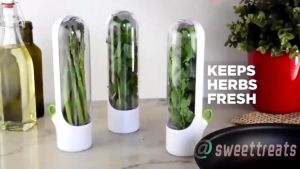 Wadah Penyimpanan Daun Sayur / Wadah Sayur Kotak / Herb Storage Tempat Daun Bawang Seledri Kemangi Herb Keeper Vegetable Herb Storage Vegetable Herb Keeper Kotak Segar Sayuran