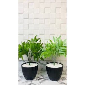 Tanaman Hias Daun Exo Terra Silk X5 Latex Artificial Pot Pastel Kerang Hitam Tanaman Imitasi Dekorasi Pajangan Ruangan Aesthetic