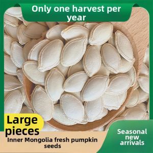Original Flavor Large Chunk Pumpkin Seeds Shells Included
