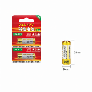 SHIKEXIN | Universal Control Device Battery 27A 12V