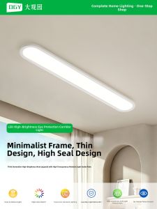 DGY | All-Spectrum Ceiling Light for Hallway Entrance Kitchen Balcony