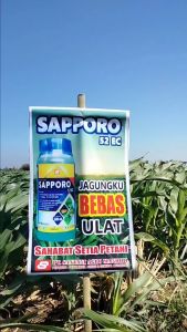Sapporo 250ml Obat Ulat Sapporo Insektisida Sapporo Pembasmi Ulat Tanaman Bawang