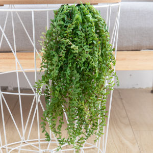 Cây Giả Leo Tường Dây Leo Nhựa Giả Cây Giả Dạng Mây Cây Giả Dạng Xương Rồng Để Trang Trí Nhà Cửa Ngoài Trời Tiệc Tùng Đám Cưới Cây Xanh Giả